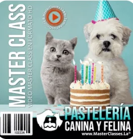 curso de pastelería canina
